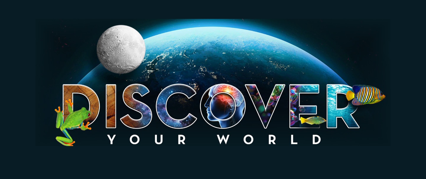 Discover Your World